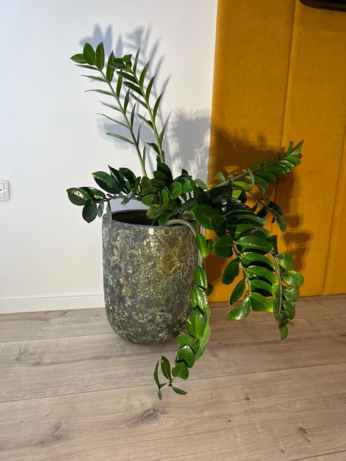 Sofia Apartment & Zimmer Sillweg Naehe Rebull Ring فوهنسدورف المظهر الخارجي الصورة